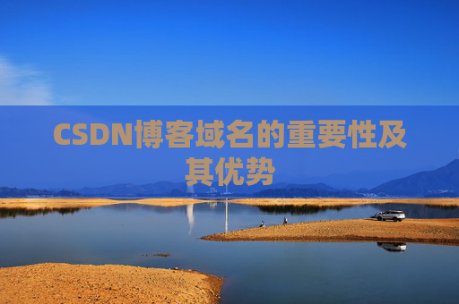 CSDN博客域名的重要性及其优势